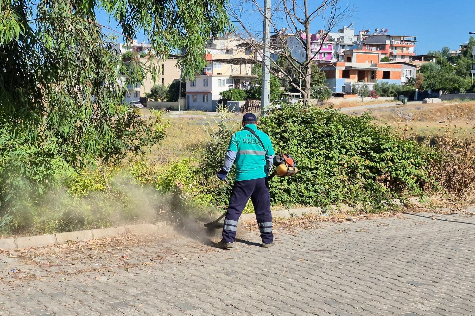 Efelerin Yesil Ekipleri Faaliyetlerine Devam Ediyor 579125 337A5544Ec2Aa3Af7C7Dc7Dd015B7Dd6