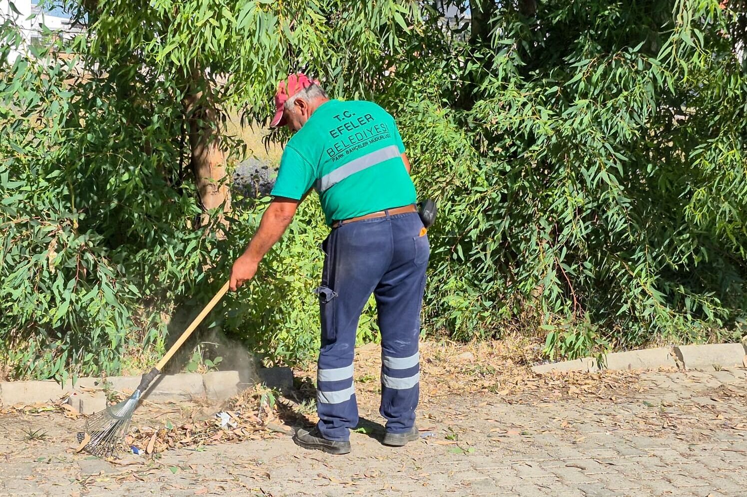 Efelerin Yesil Ekipleri Faaliyetlerine Devam Ediyor 579125 D681C91Ddb6Edafa1F8Fb45C04Fe7Cd5