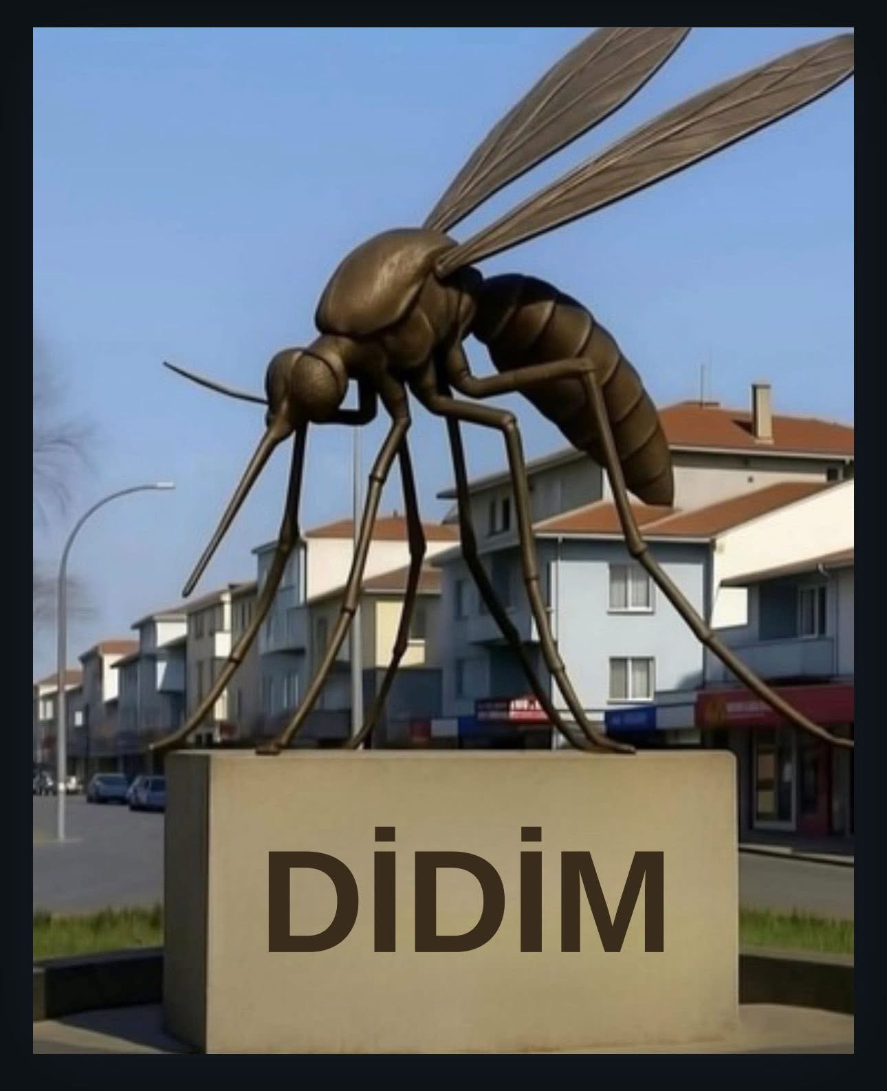 Gençay sivrisinekle mücadelede sınıfta kaldı
