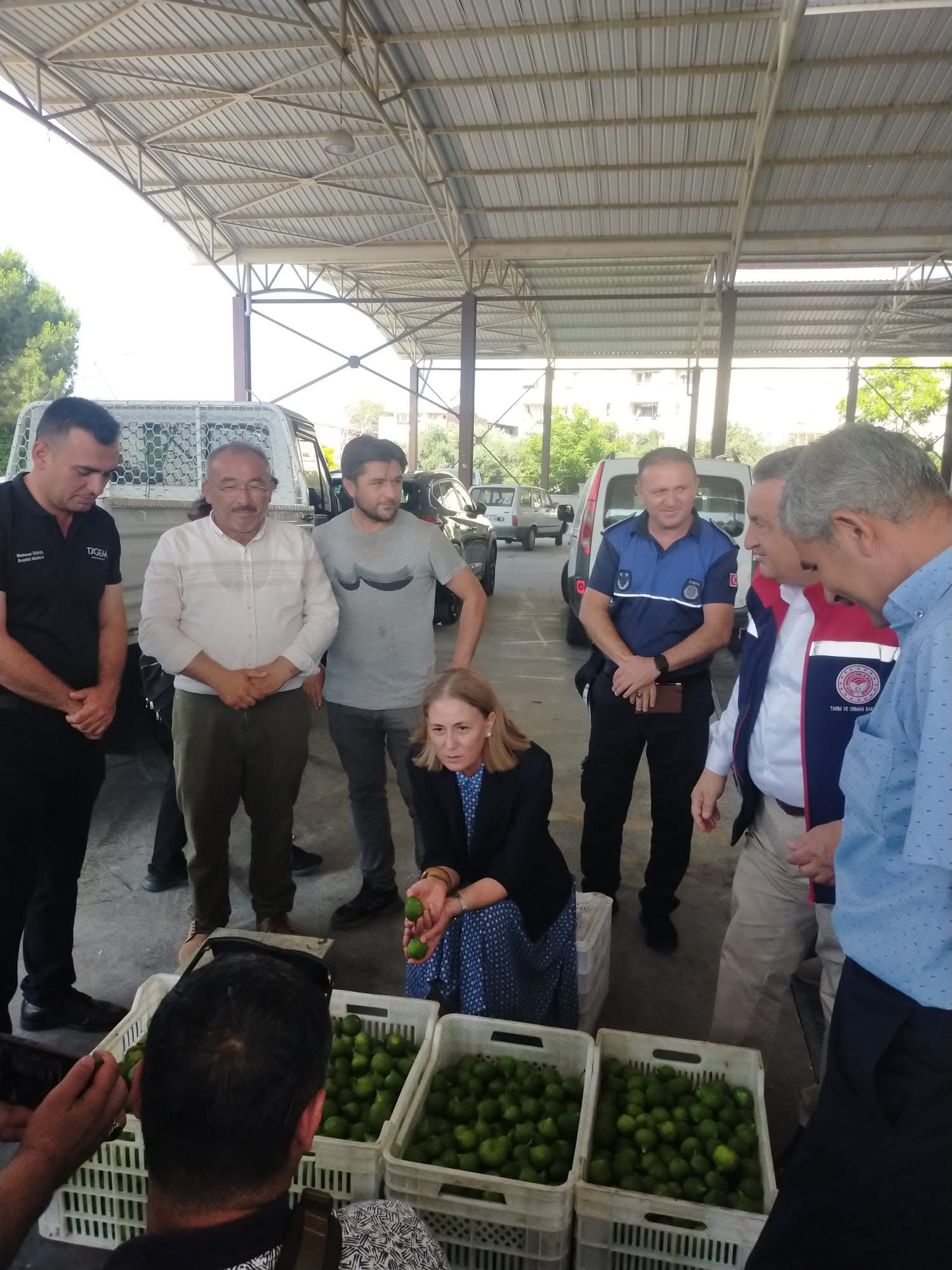 Nazilli’de ilek pazarına yakın takip