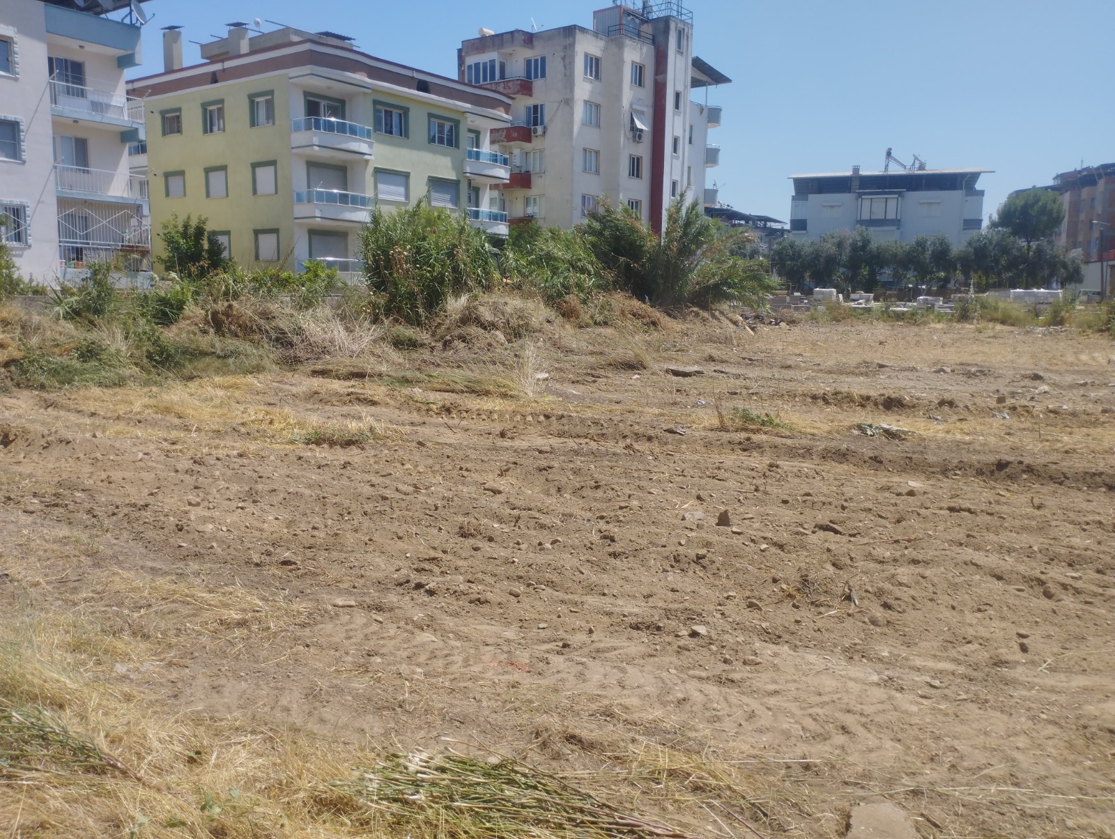 Nazillideki Metruk Arsaya Cozum Fare Yuvasindan Havaalanina Dondu 577957 09E3D44Ba3445Fca3A0Dfbfbd693Aa90