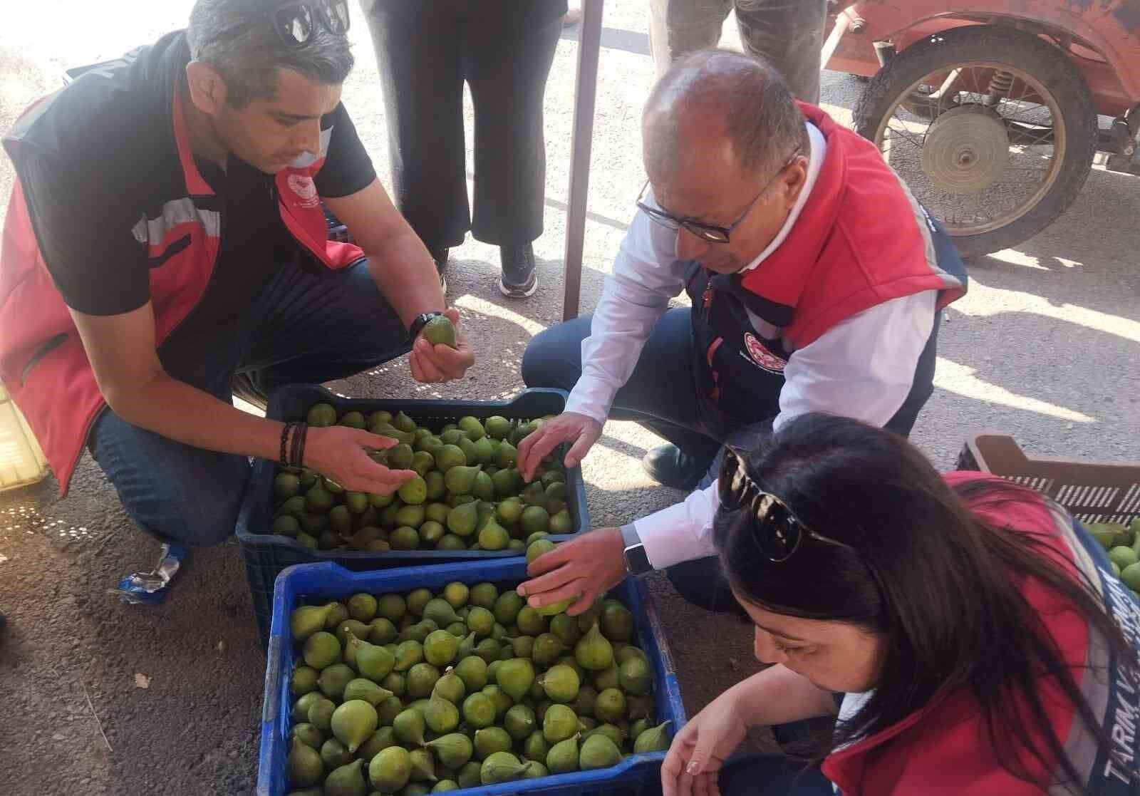 Oymak incir ve ilek arasındaki farka açıklık getirdi: “Biri olmadan diğeri olmaz”