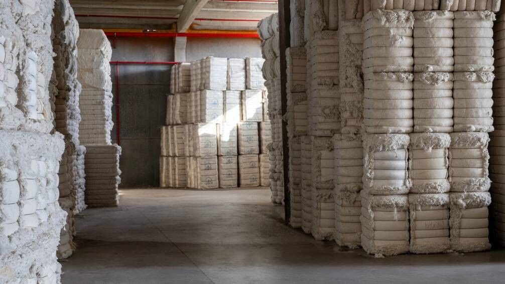 TARİŞ Pamuk Birliği yöneticilerine zimmet soruşturması