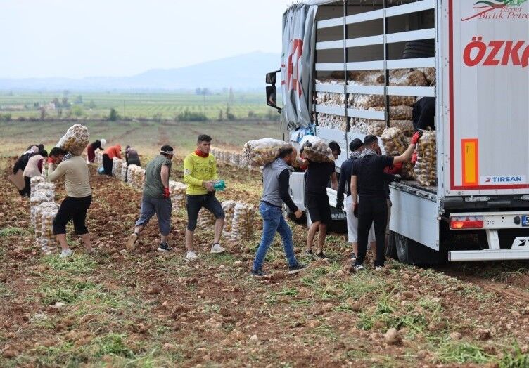 Bu işi yapan gençler memurdan çok kazanıyor! Ayda 23 gün çalışıp 4 asgari ücret alıyorlar