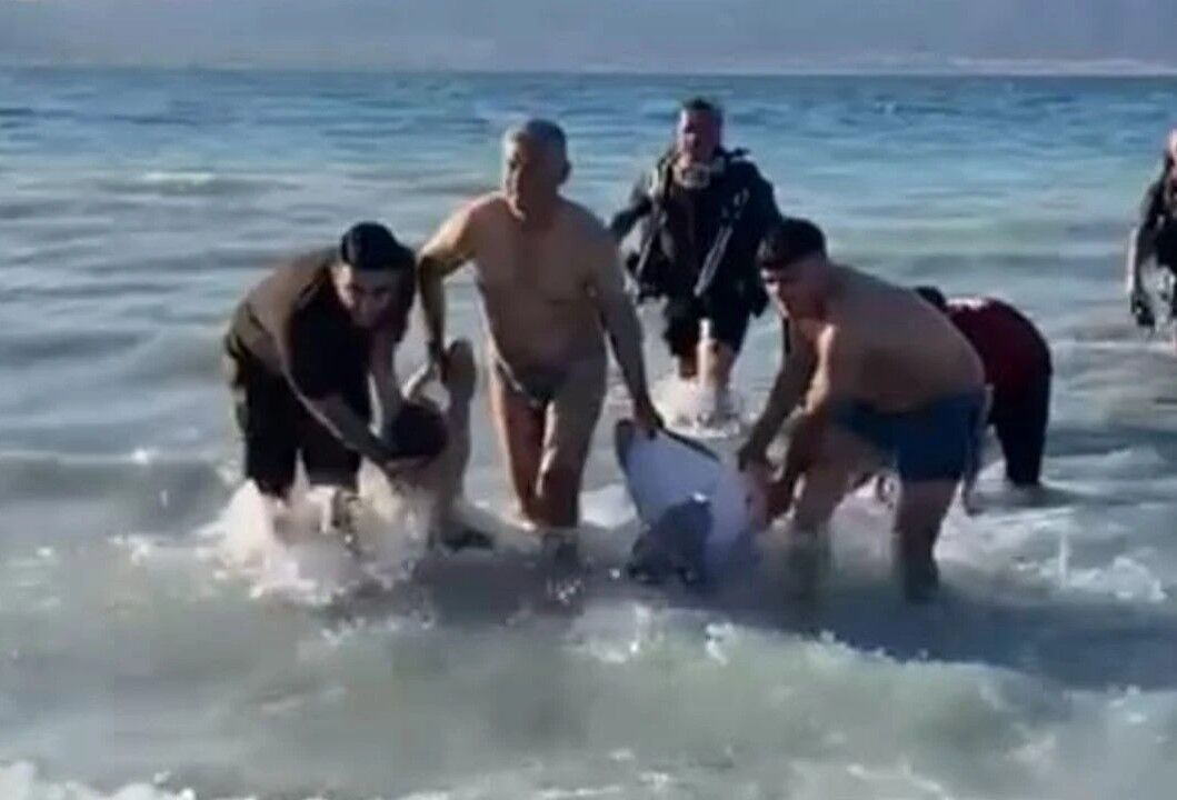 Babalar Günü'nde felaketi yaşadılar! İki baba ile çocukları boğularak can verdi