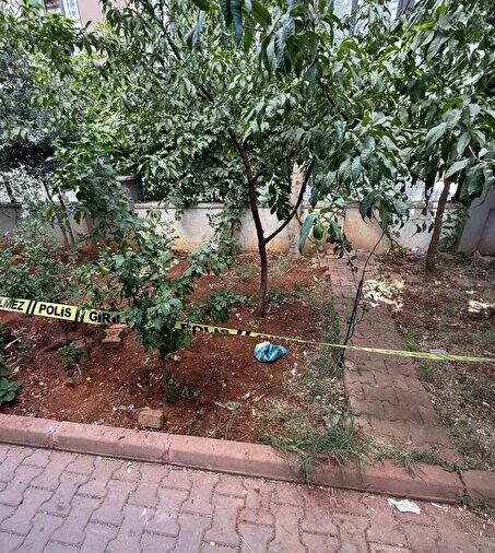 Whatsapp Image 2025 06 26 At 17.50.16