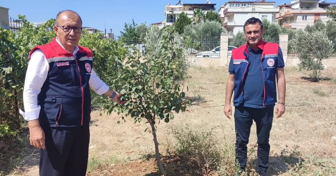 Aydın suyuna sahip çıkıyor: Binalarda yağmur suyu hasadı 