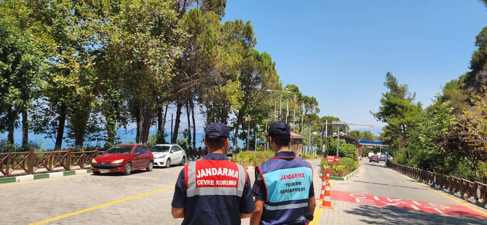 Aydinda Jandarmadan Orman Yanginlarina Karsi Bilgilendirme Seferberligi 585651 3702E48Dff389081Fef7598Cb2B444B3