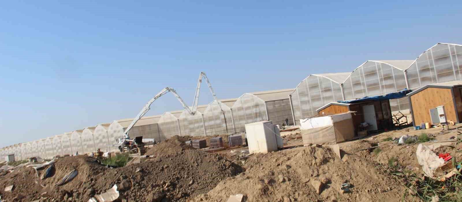 Aydın’da jeotermalle tarımı buluşturacak proje sekteye uğratıldı