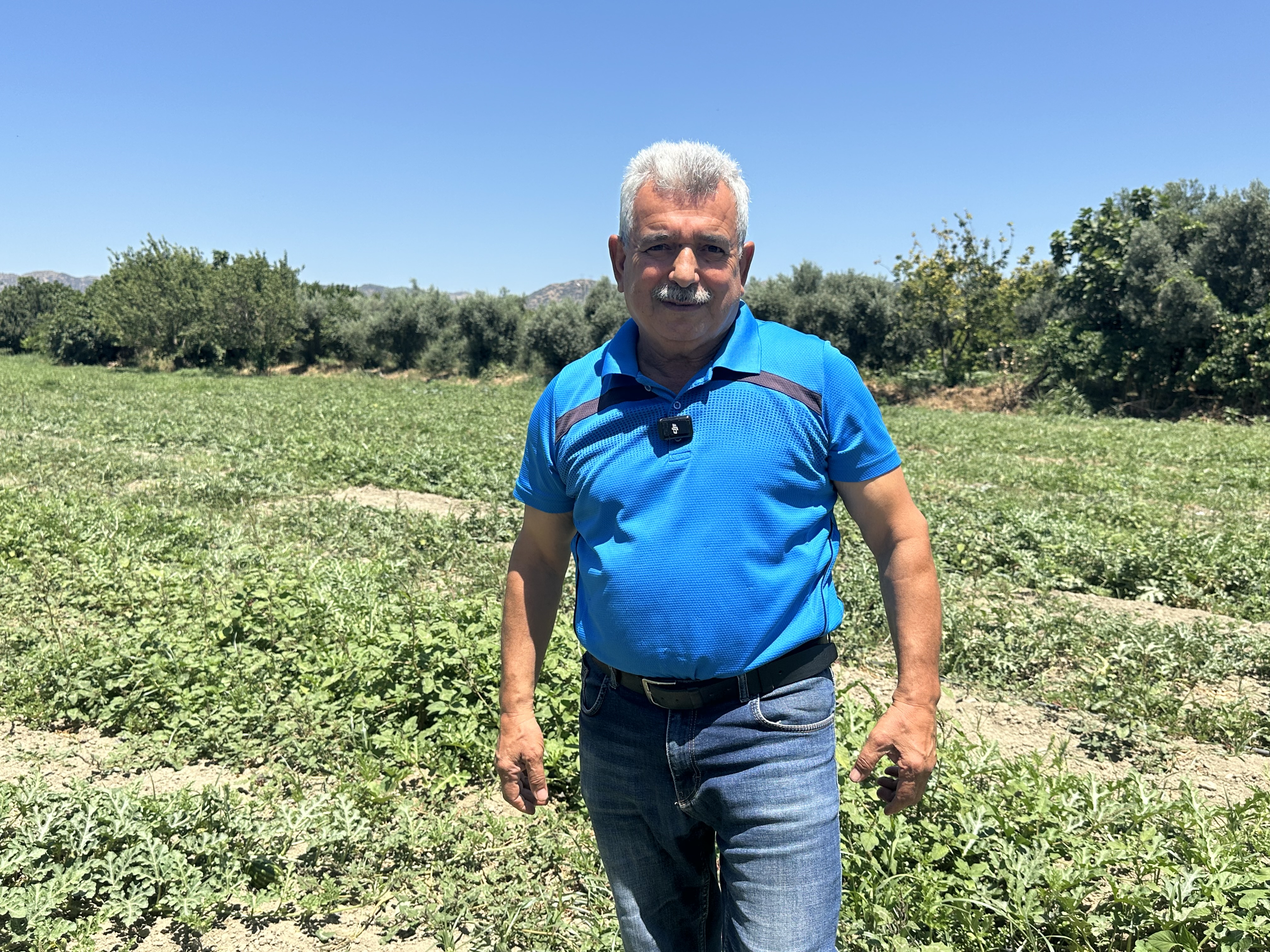 Aydinda Karpuz Ureticileri Umdugunu Bulamadi Karpuz Aydinli Ureticilerin Yuzunu Guldurmedi Uretici Maliyet Altinda Ezildi 580381 35639874Ed0265Ec789Efef3Ad7D2600