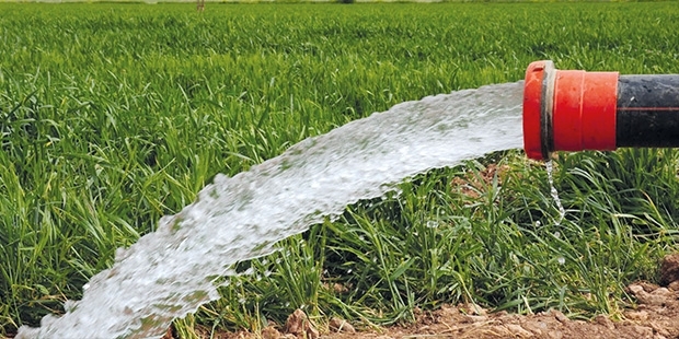 Aydın’da tarım kurudu! Üretici tek suyla ayakta kalmaya çalışıyor