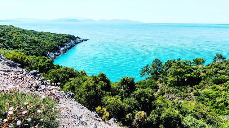 Aydın’da yangın alarmı! Dilek Yarımadası Milli Parkı’na dikkat çekildi