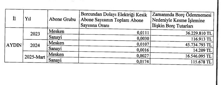 Aydinlilarin Elektrik Borcu Belli Oldu Aydinda Milyonlarca Liralik Borca Kesinti Uygulandi 584080 8D1131F527E2A27Cad5A41D974E349E7