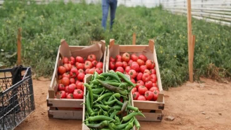 Baskan Cercioglunun Tarima Ve Ureticilere Destekleri Suruyor 586492 0208B9F98B564Dc7C80C169346E3227F