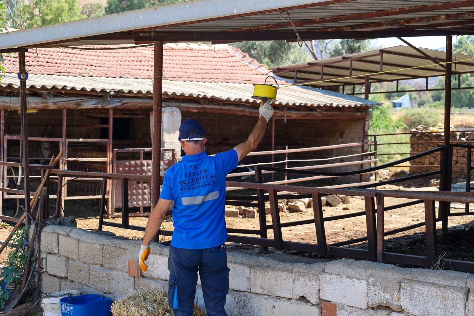 Efelerde Sineklerle Mucadele Tam Gaz Suruyor Vatandaslardan Hizmete Tam Not 582303 12Eff35Cbb5041Dcd480Dcecc55C4E70