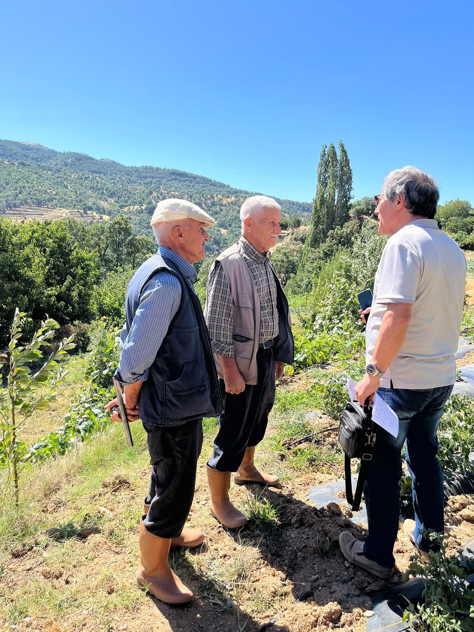 Kuyucak’ta domates tarlalarına teknik ziyaret