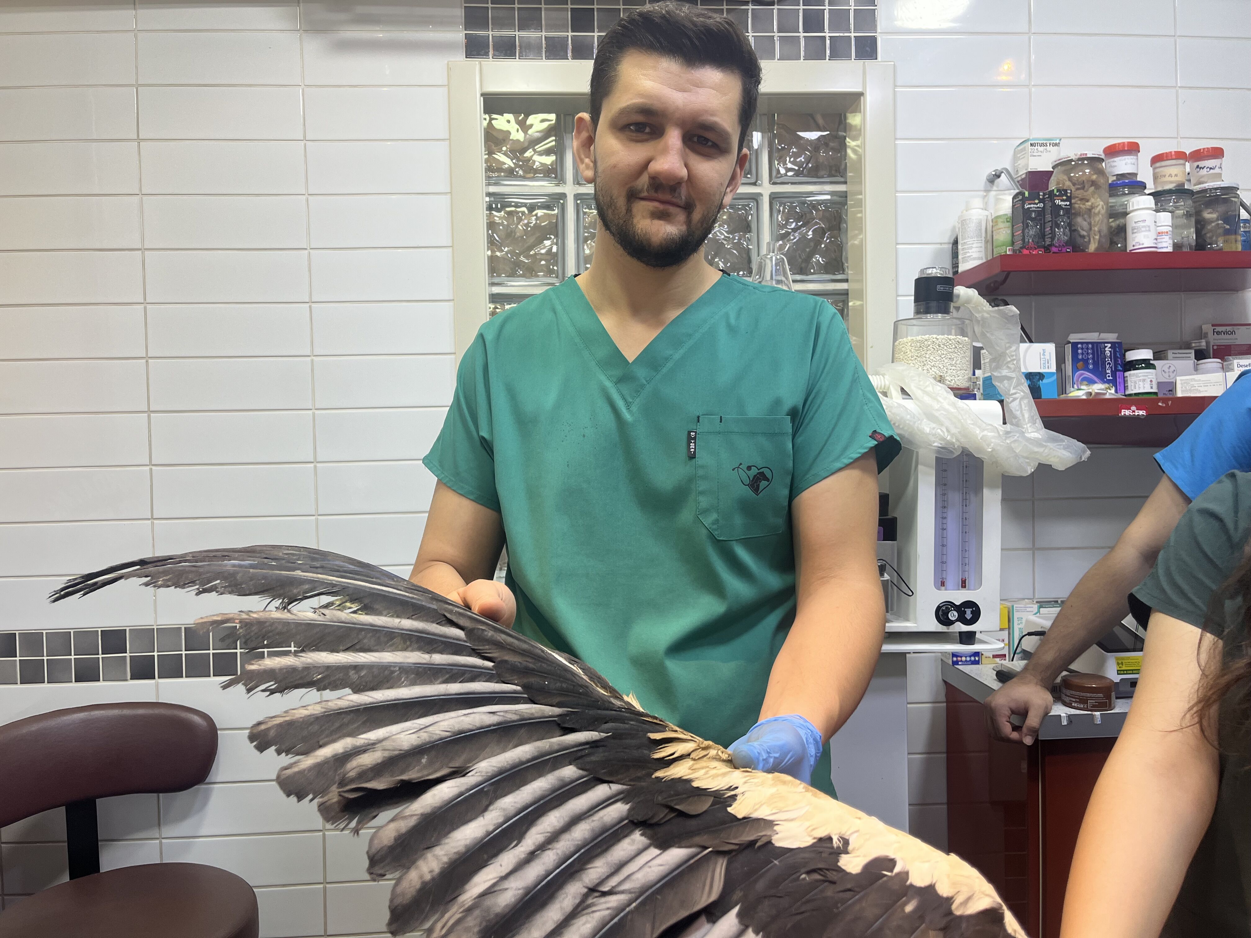 Nazilli’de kanatlı hayvanlar için rehabilitasyon merkezi talebi