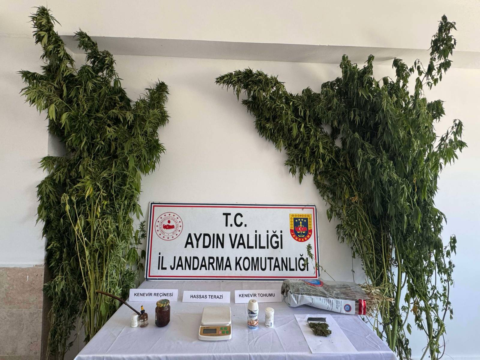 Nazilli’de uyuşturucu operasyonu: Zehir imal edip satan şüpheli yakalandı