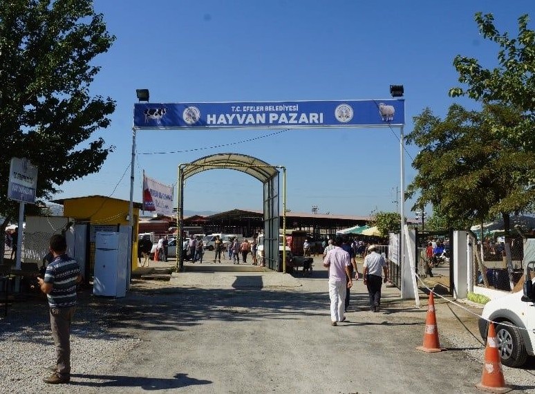 Aydın'a bakanlıktan 'acele' kodlu yazı! Şehirdeki tüm hayvan pazarları kapatıldı