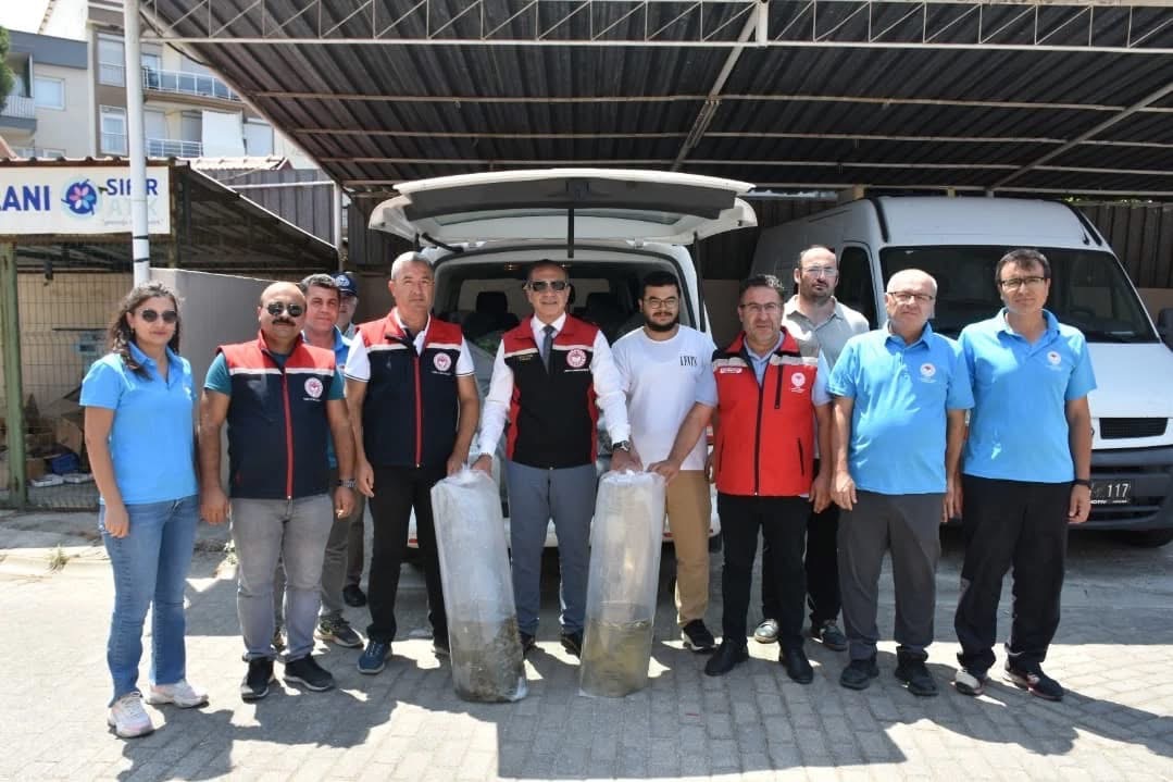 153 Bin Sazan Yavrusu Dogaya Salindi 588058 3E142114F1898Ec6Fa398A46857E28Ae