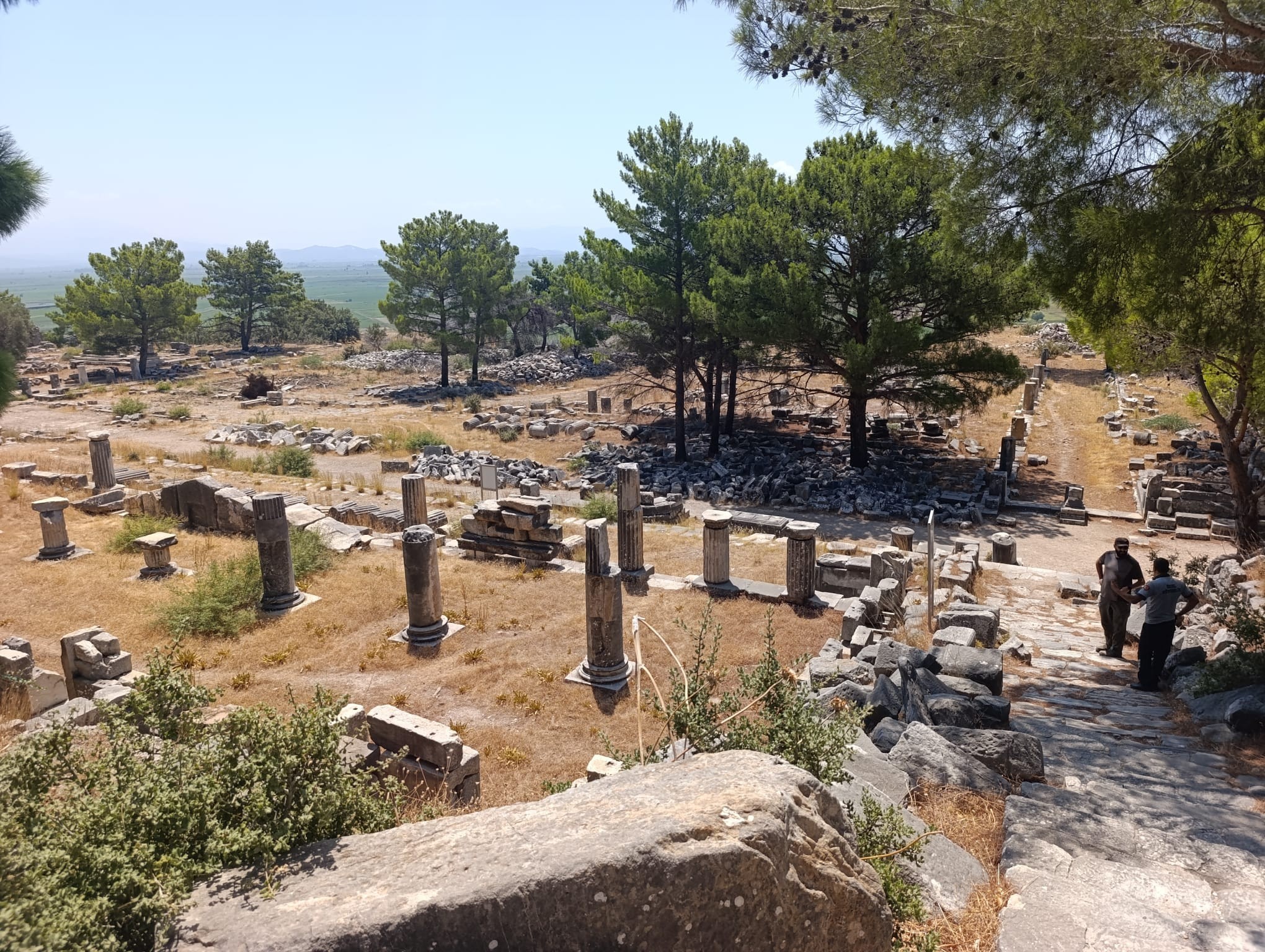 Priene Antik Kenti UNESCO Dünya Mirası Listesi’ne girmeyi bekliyor