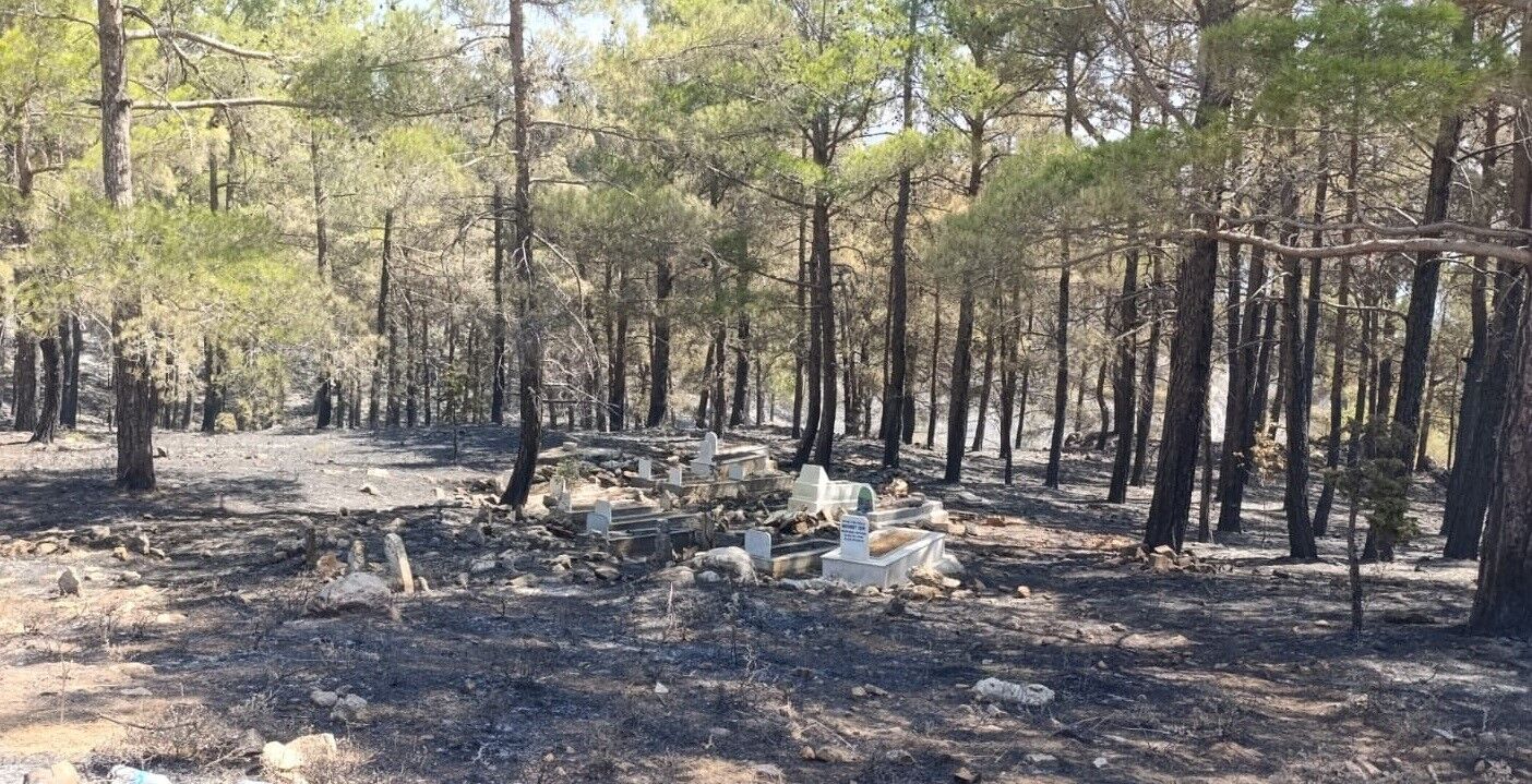 Orman yangınında tüyler diken diken oldu! Koca mezarlık yanarken alevler o kabirde bir anda durdu