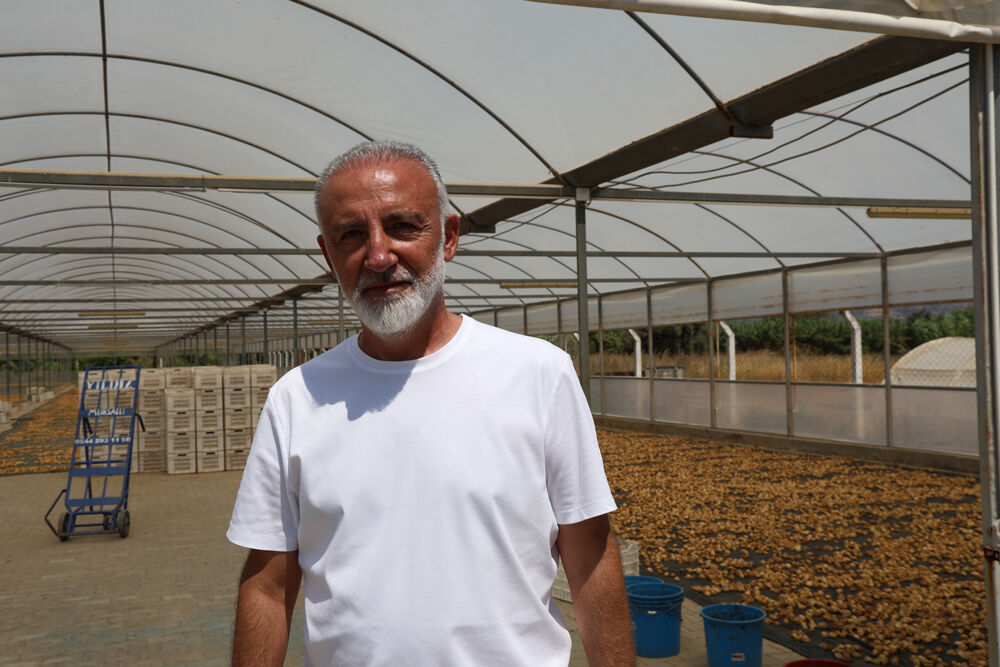 Aydın’da incir üreticileri dikkat! Bu sorun sizi de bulabilir