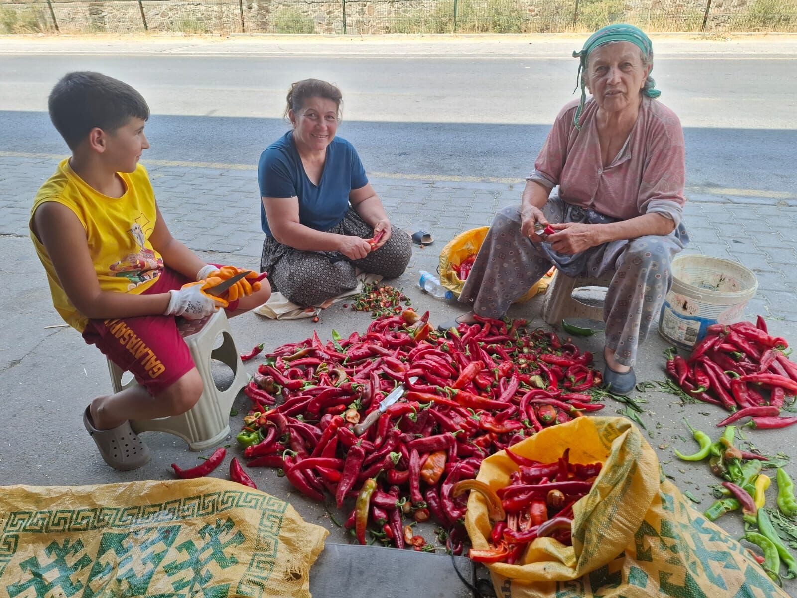 Aydın’da bu sene tarım işçisi kalmadı