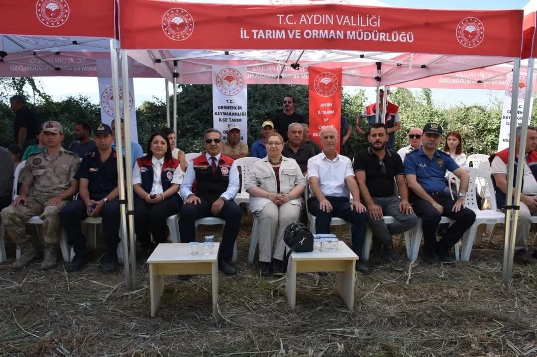 Aydinda Hasat Coskusu Bu Yil 190 Ureticiye 10 Bin Kilo Tohum 595031 3D4Bcdcb1Bb9910Fffecf66F741Afc27