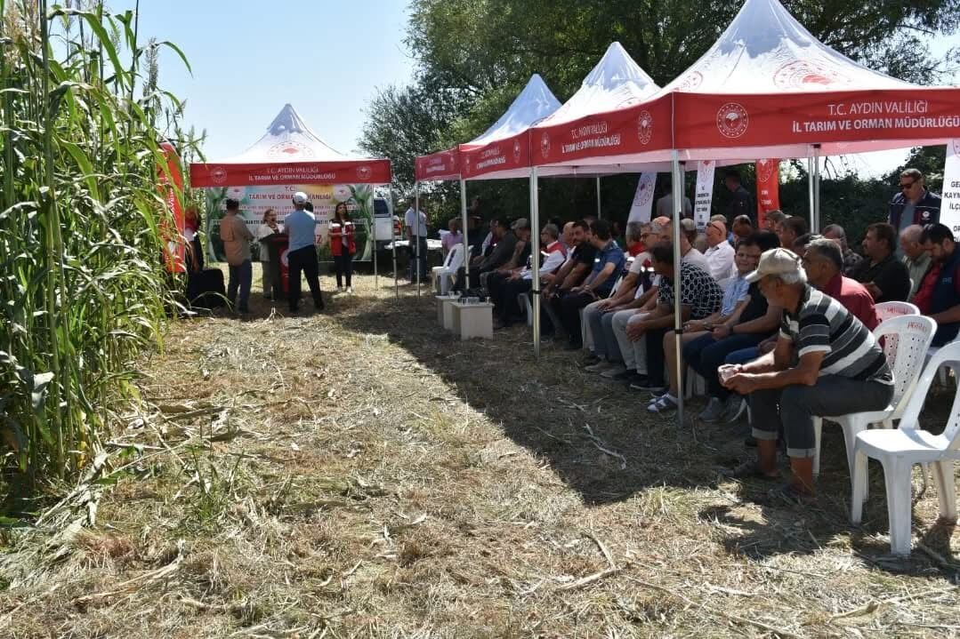 Aydinda Hasat Coskusu Bu Yil 190 Ureticiye 10 Bin Kilo Tohum 595031 Cbdbcf79341002Fb7203F8D7687Ac416
