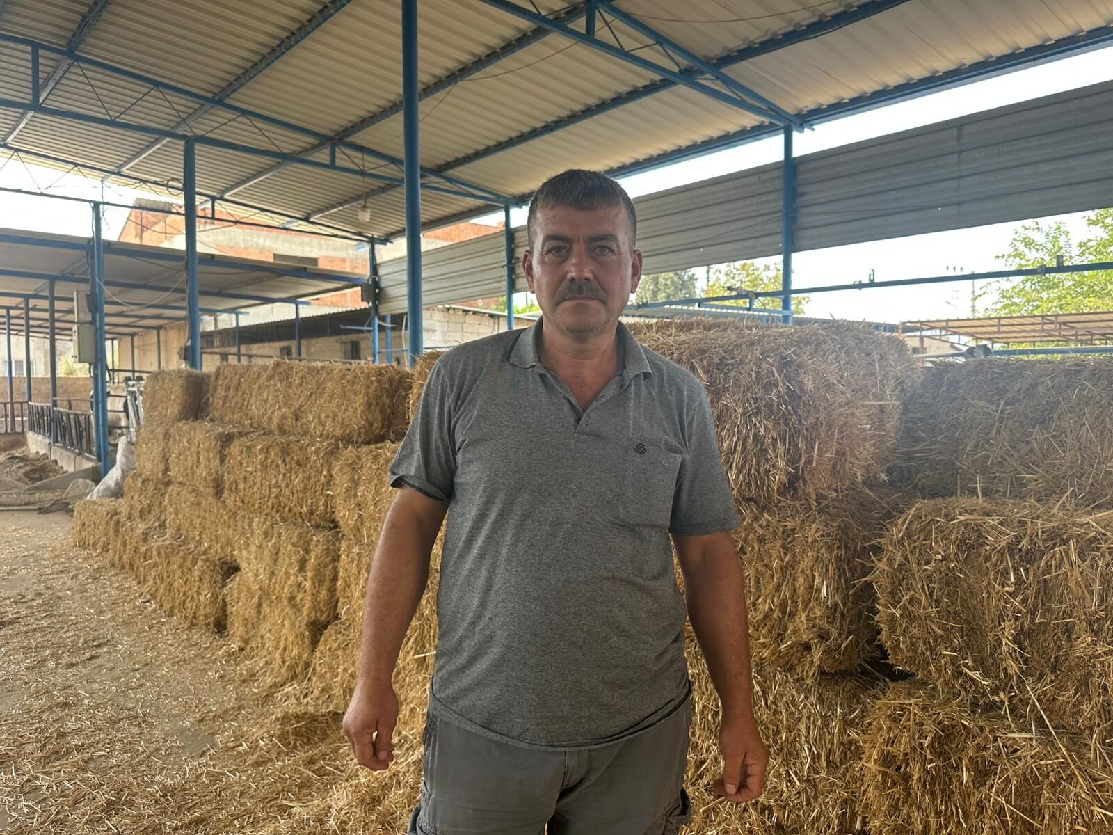Aydinda Hayvancilik Bitti Aydinda Genc Nufus Kalmadi Okumus Adam Bu Isi Yapmak Istemiyor 590773 0339B0624Eb59890F17A16Aae22E8Ffe