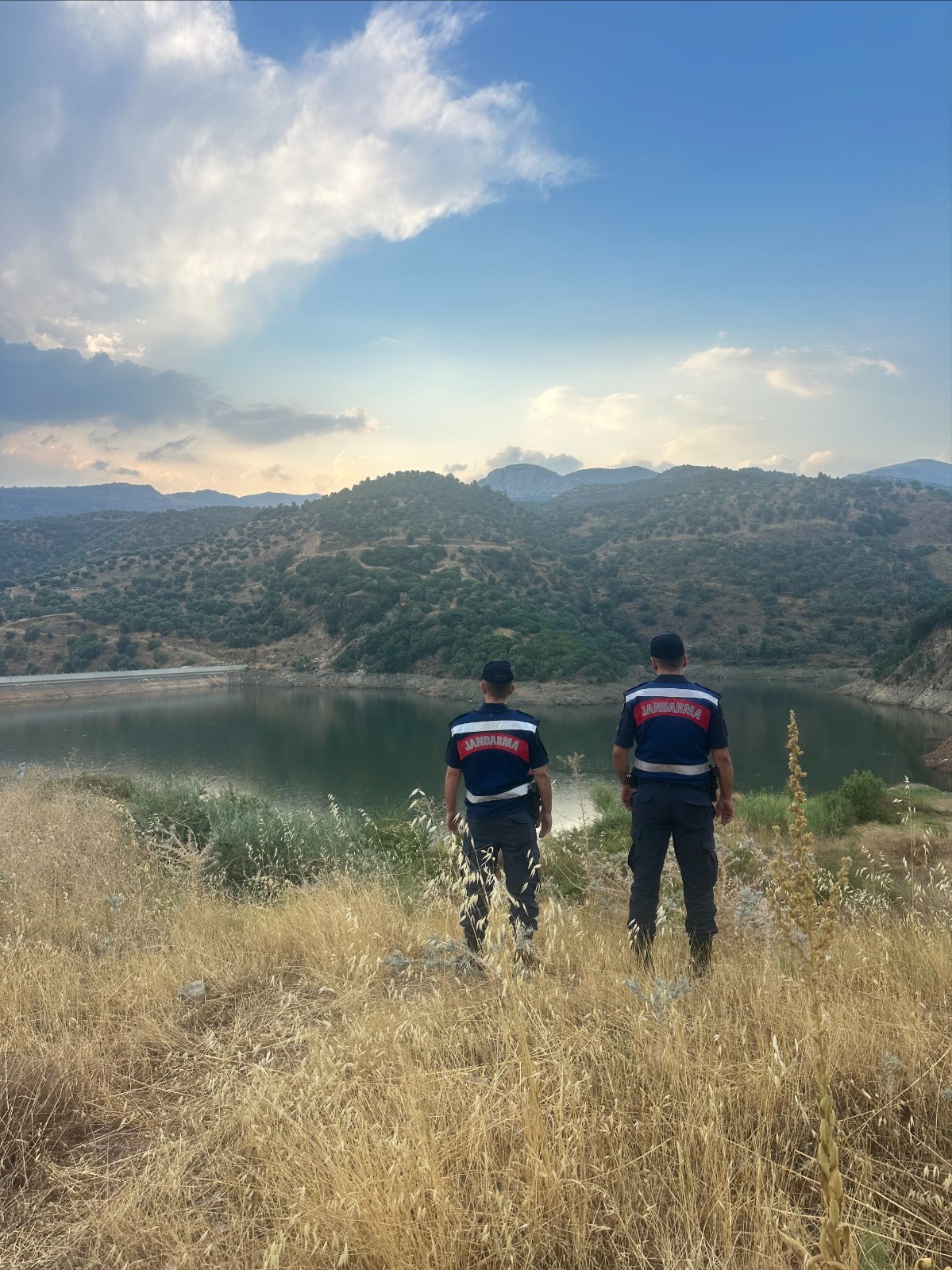 Aydinda Ormanlik Alanlarda Yangin Tedbiri 588808 A354Fab4C1183536A7A8D877C165Ded0