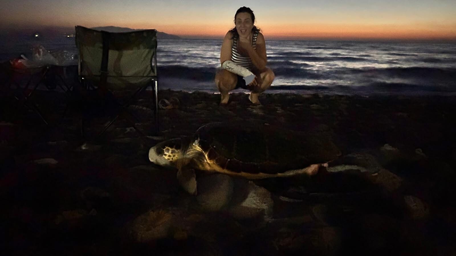 Aydinda Yavru Caretta Carettalar Yuvalarindan Cikti 588228 C8Cfc56F2D5D4D4E2D4Aa4D424Cb1147