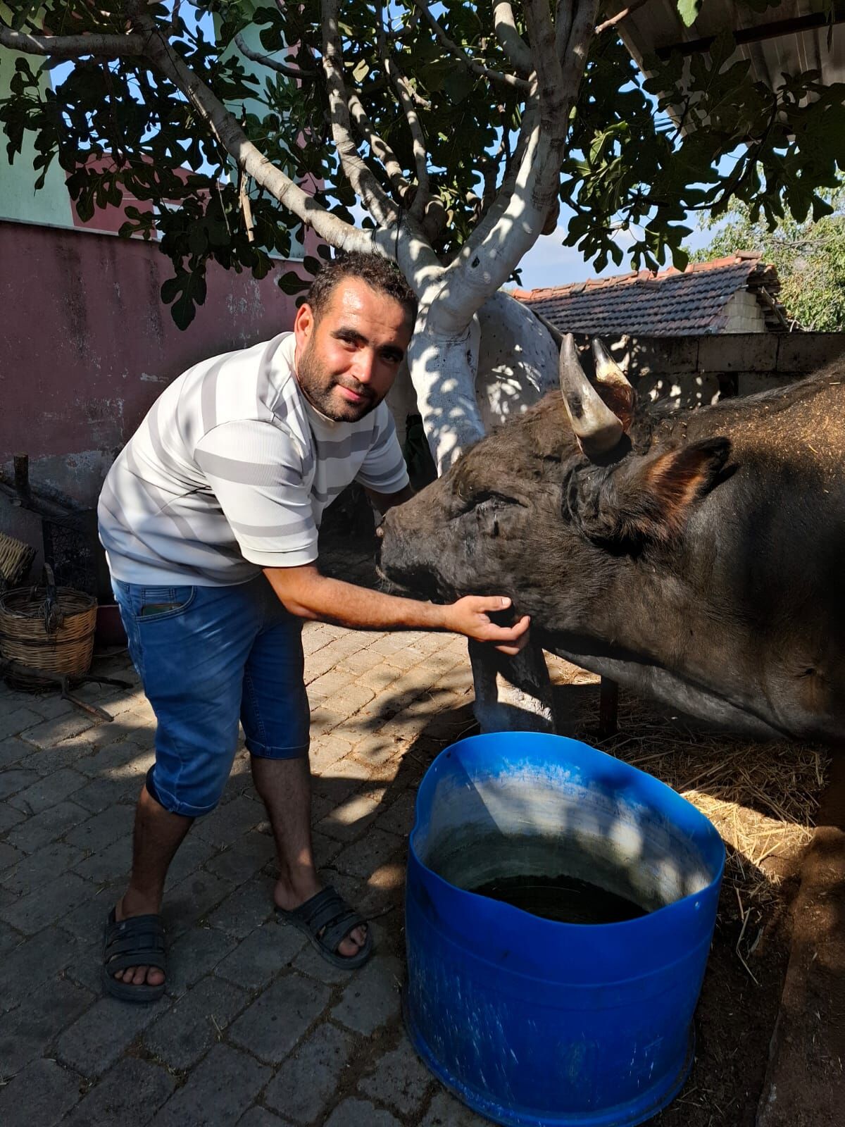 Germencik’in yörük köyünde 85 yıllık gelenek yaşatılıyor
