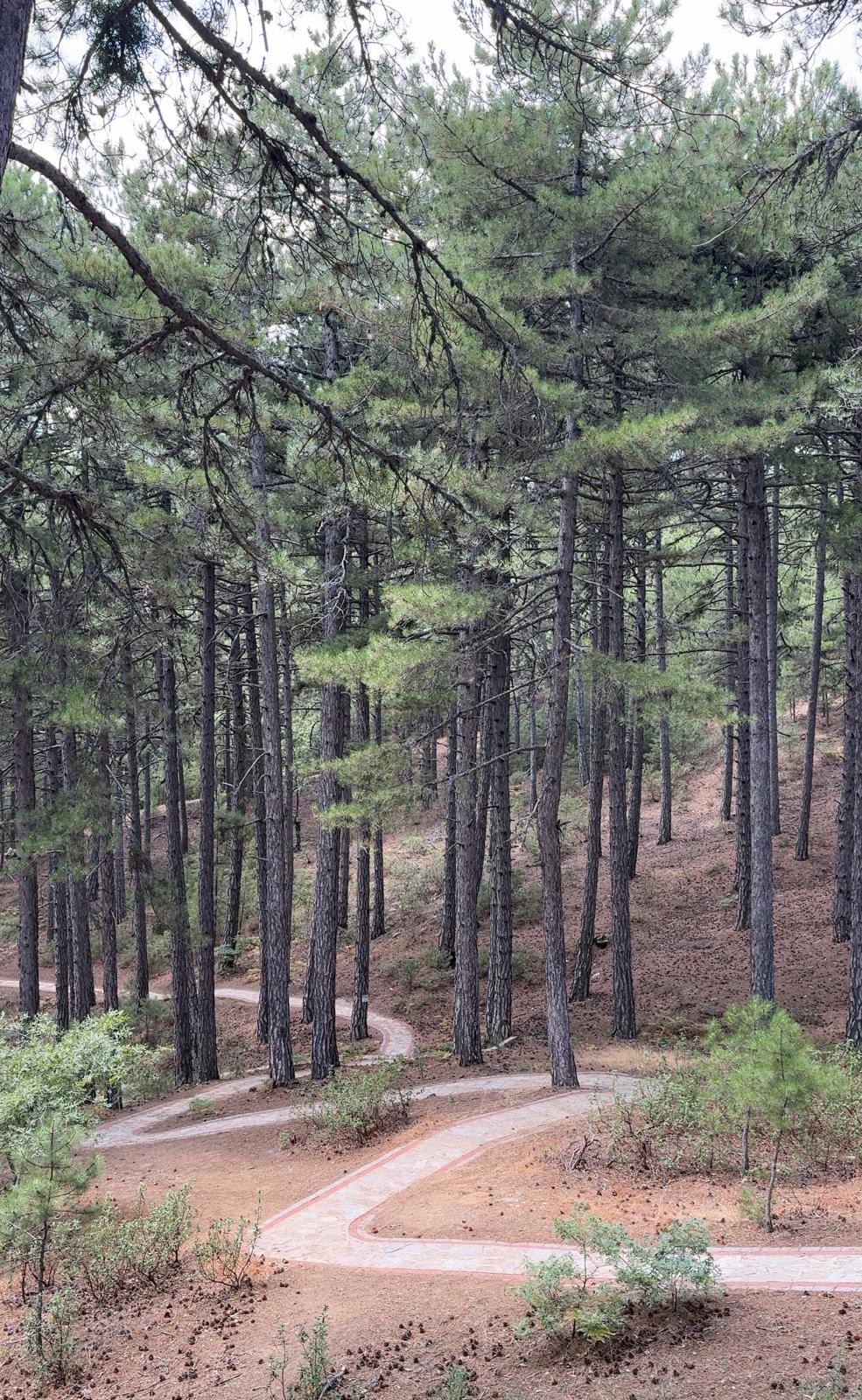 Kiyucakin Serinleten Adresi Belenovada Yagmur Serinligi Yasandi 588633 520B23E73F78F3F09C86Cfa58F6Dea0B