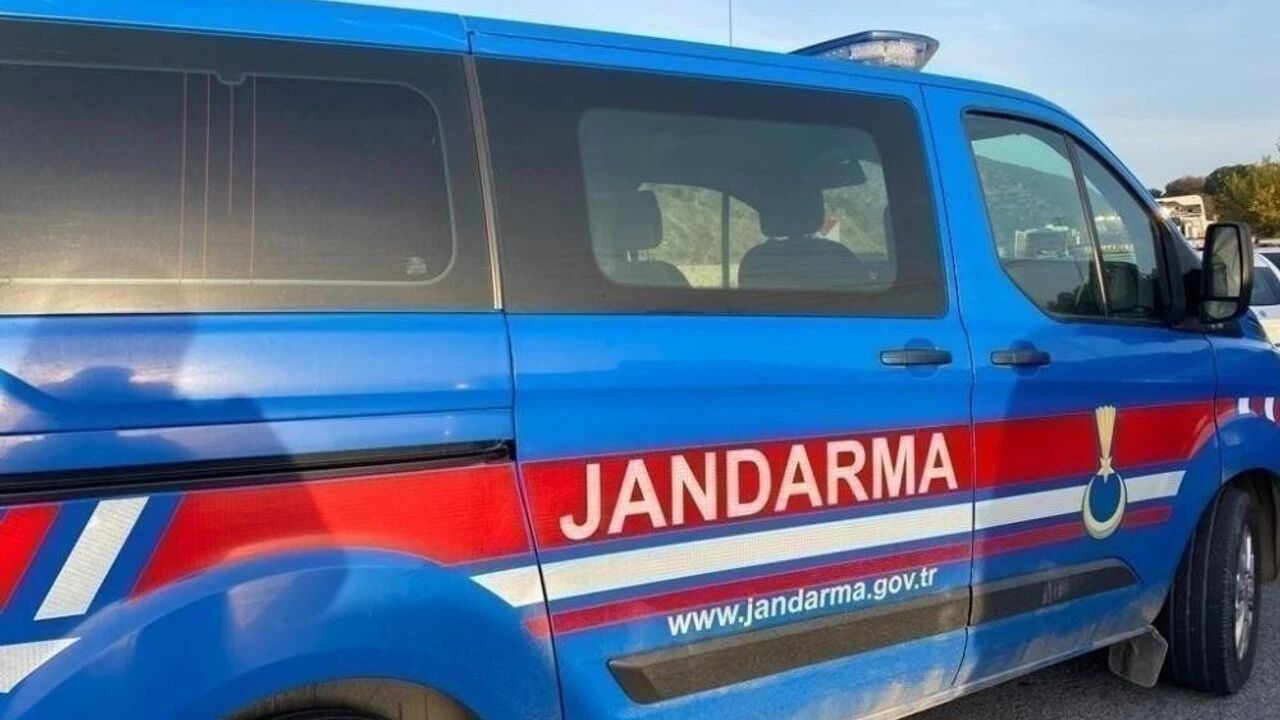 Zeytinlik alanda acı ölüm! Kara haberi alan aile yıkıldı