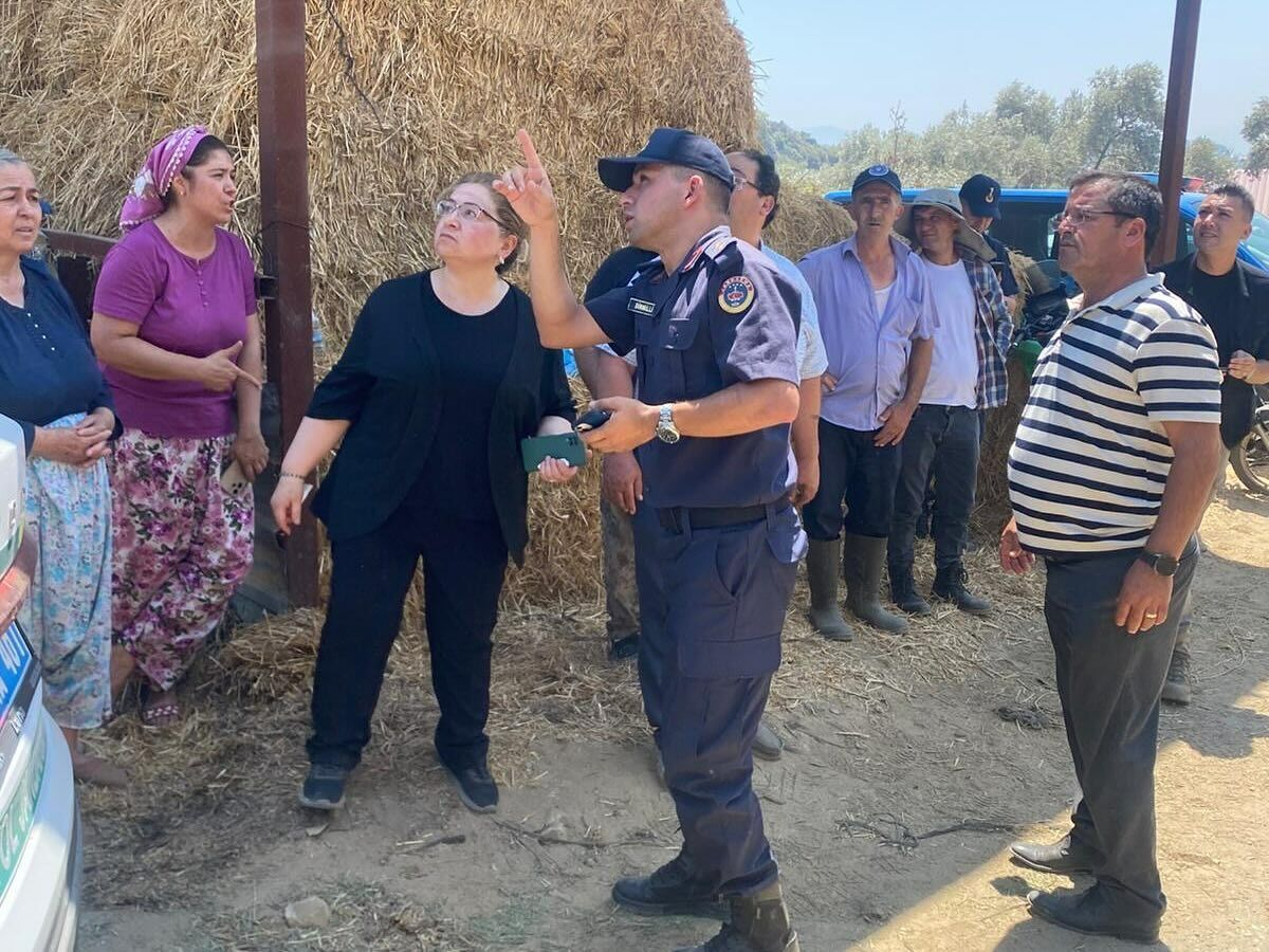 Germencik’teki yangın söndürüldü