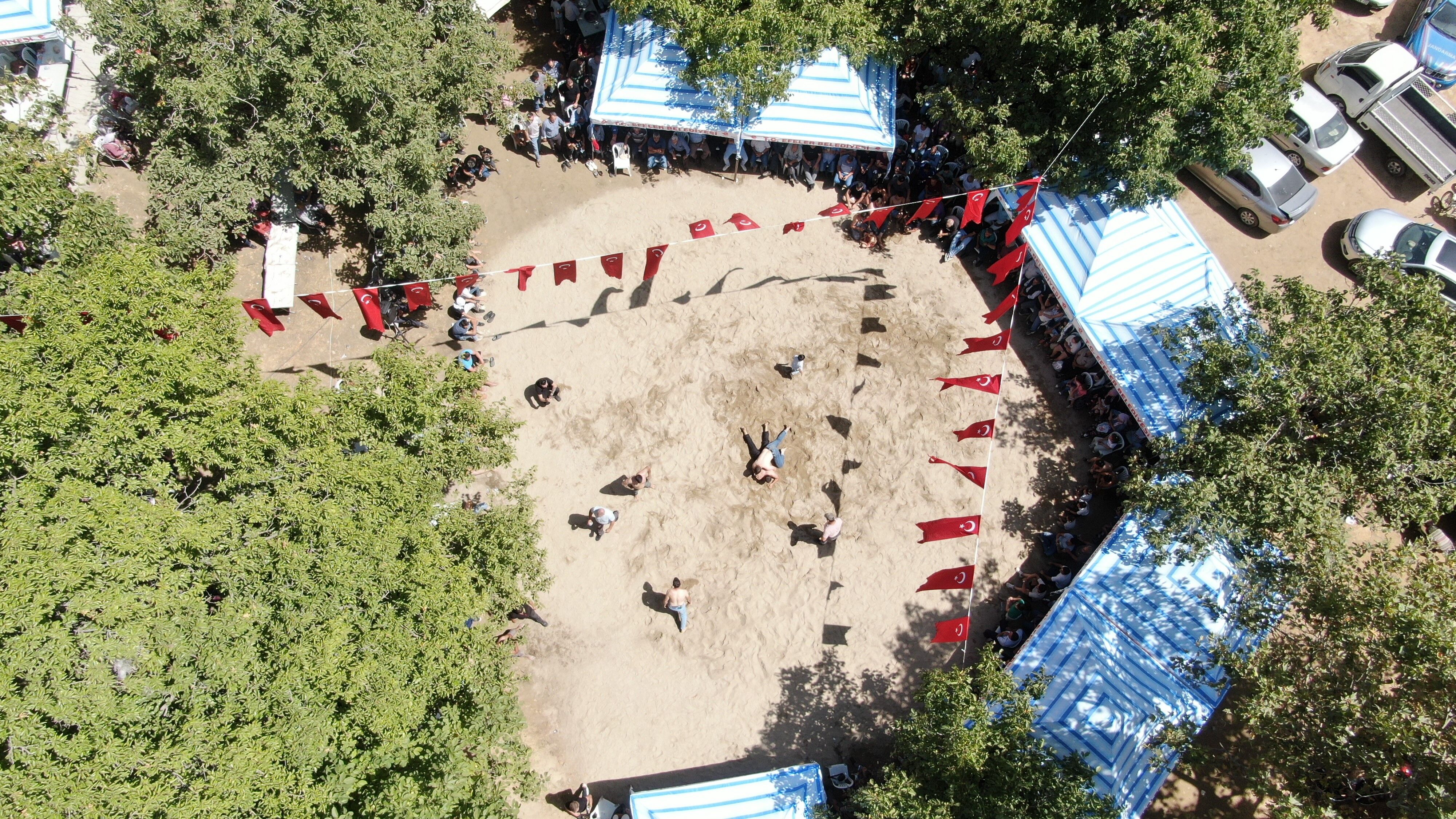 Aydın’da Ceviz Festivali 50 yıl sonra yeniden düzenlendi