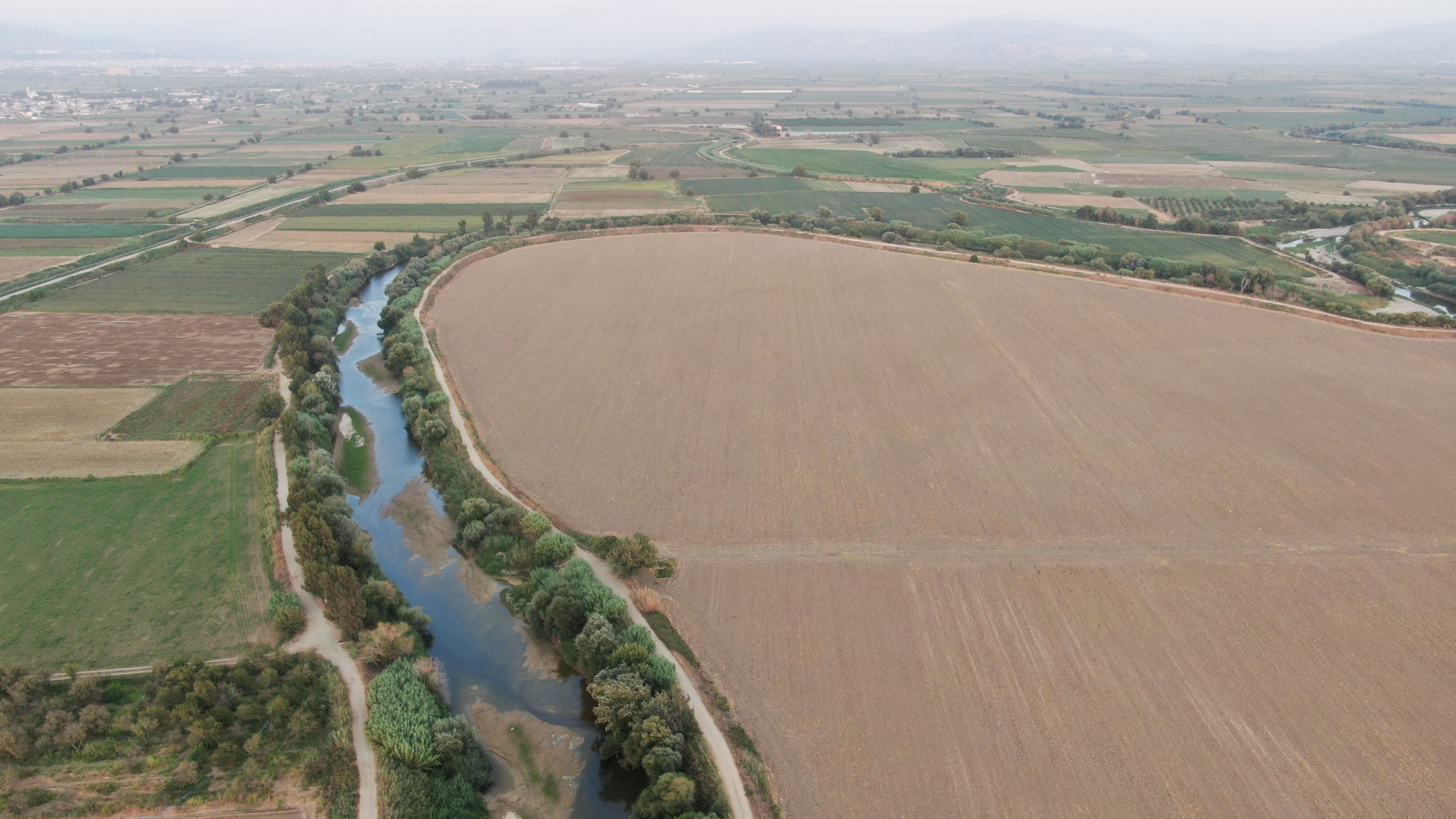 Aydın çiftçisi diken üstünde! Yağmur gelmezse büyük risk var