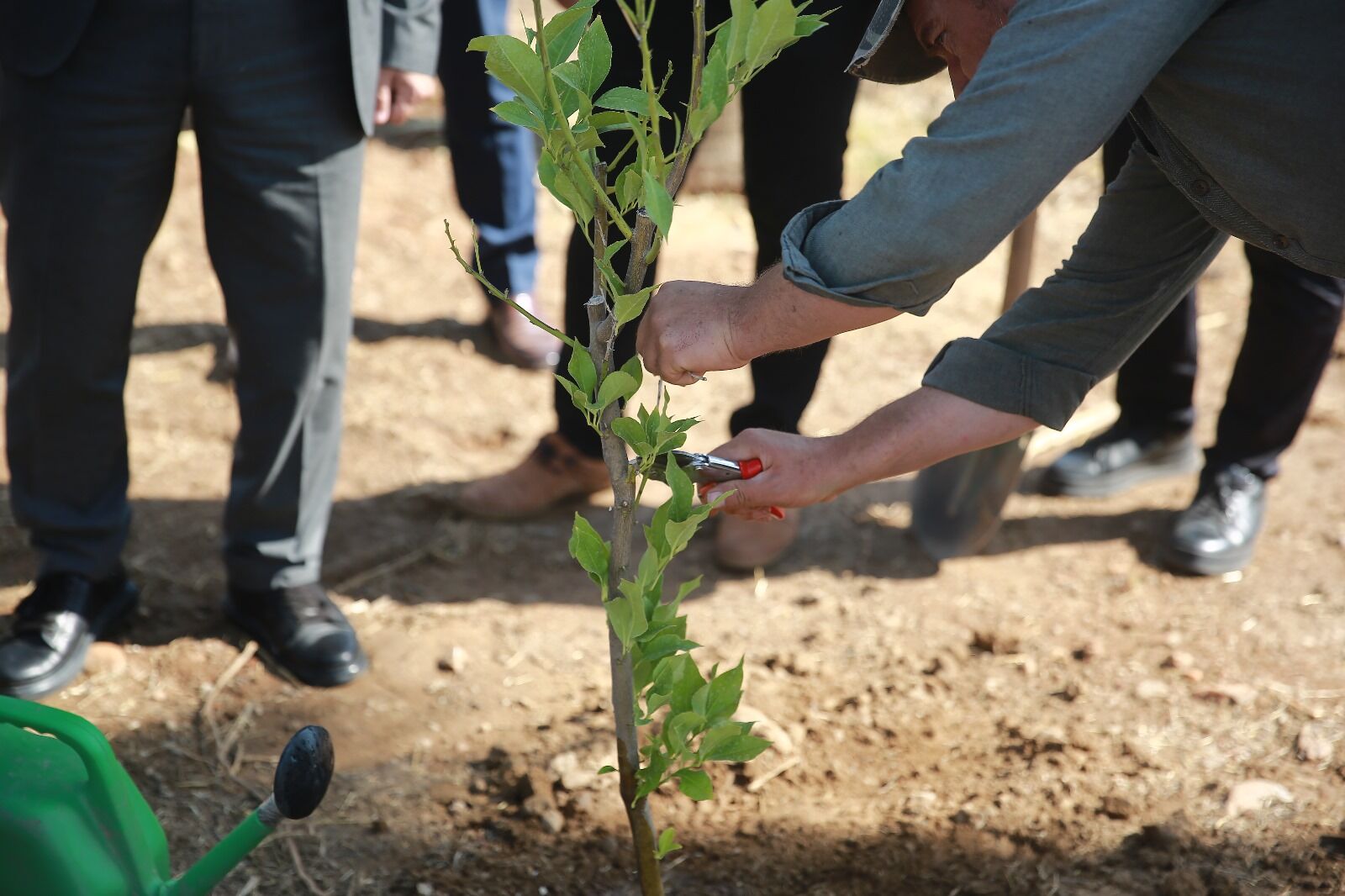 Adude Yesil Kampus Calismalari Kapsaminda Agaclandirma Faaliyetleri Devam Ediyor 597115 66E3D9B56D685078Bca1Fe9F4E3998B9