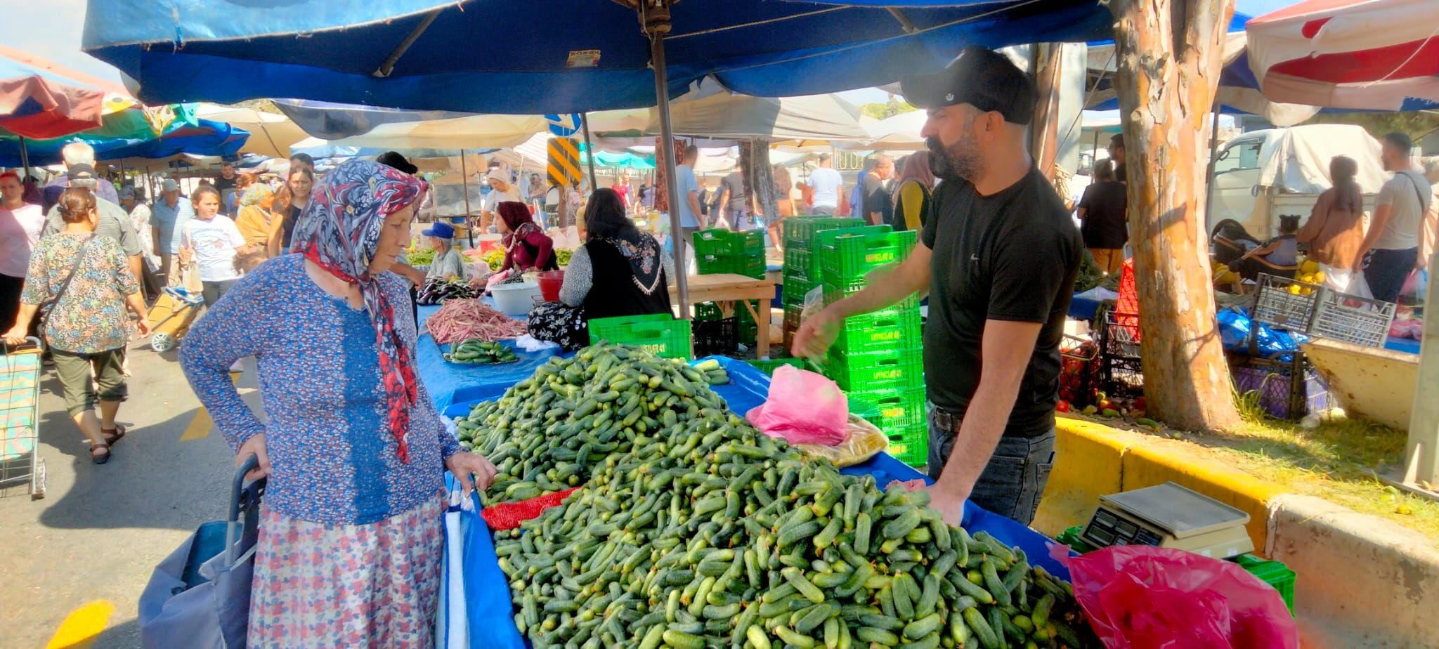 Aydin Pazarci Esnafindan Fabrikalara Sitem Fiyatlari Tursu Fabrikalari Belirliyor Betul 599266 19Ba6D00Af478D2Fc69C7F302D6183Cb