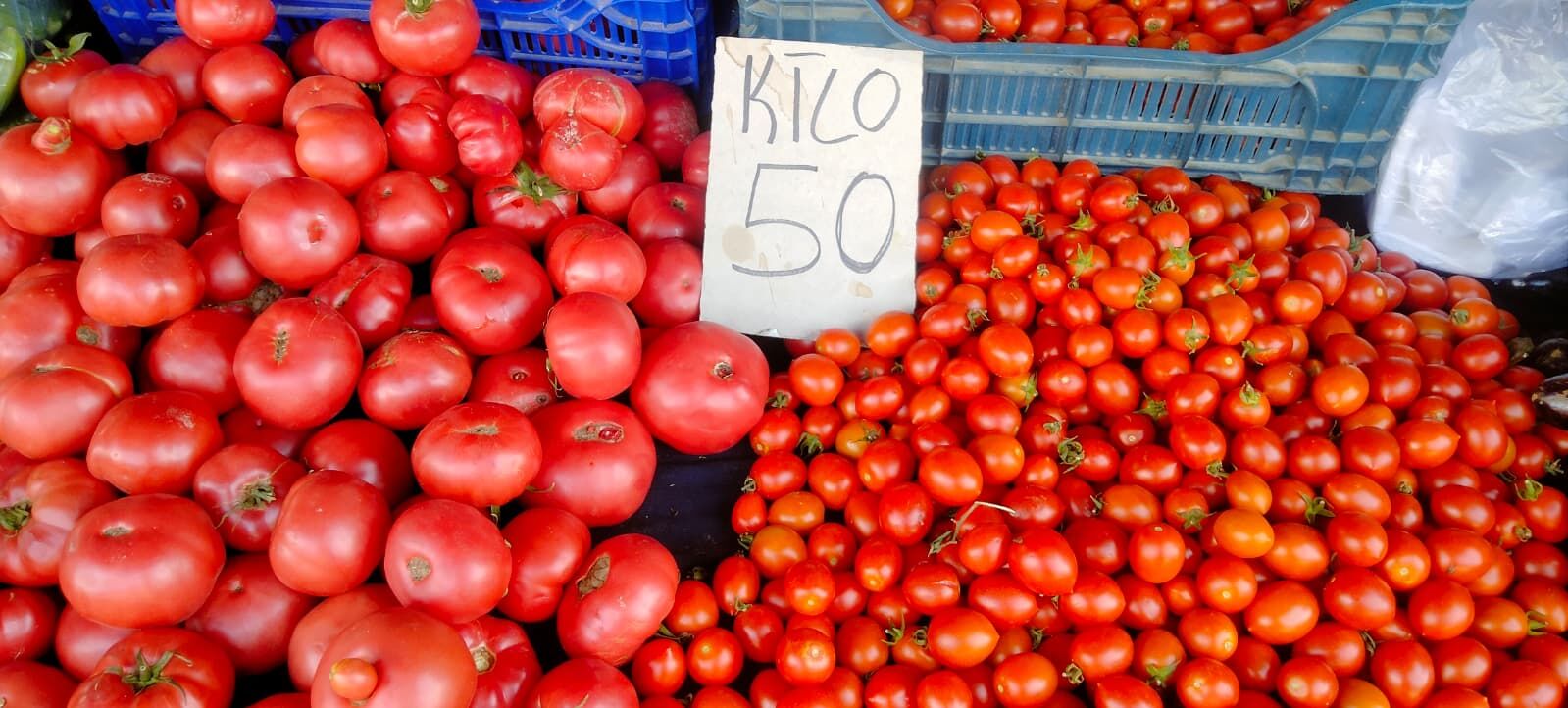 Aydın pazarında domates fiyatları kafa karıştırdı