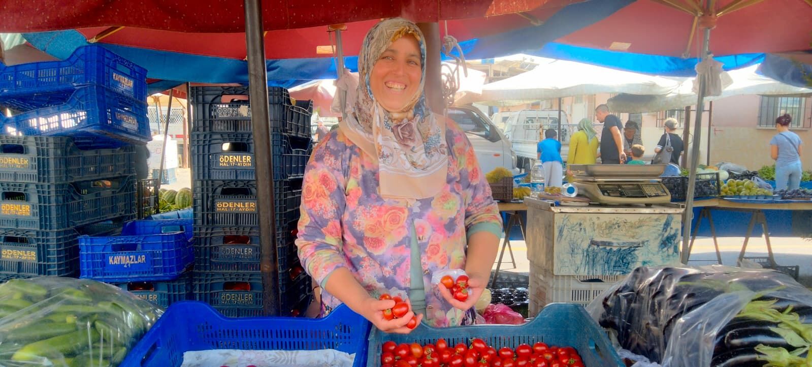Aydın pazarında domates fiyatları kafa karıştırdı