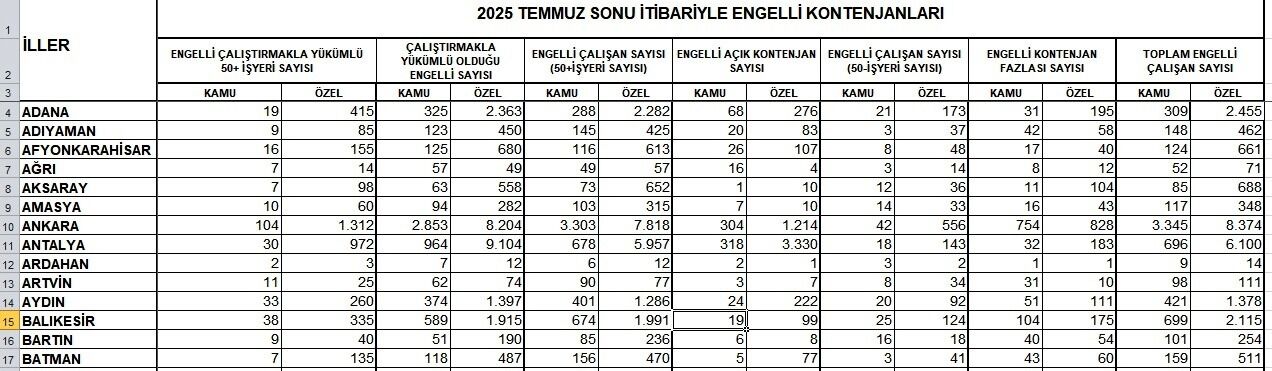 Aydindaki Engelli Istihdami Verileri Belli Oldu Aydinli Firmalar Engelli Istihdaminda Acik Verdi 603094 D7A9F9Af682C0Ac0291Df20E3D6821C0