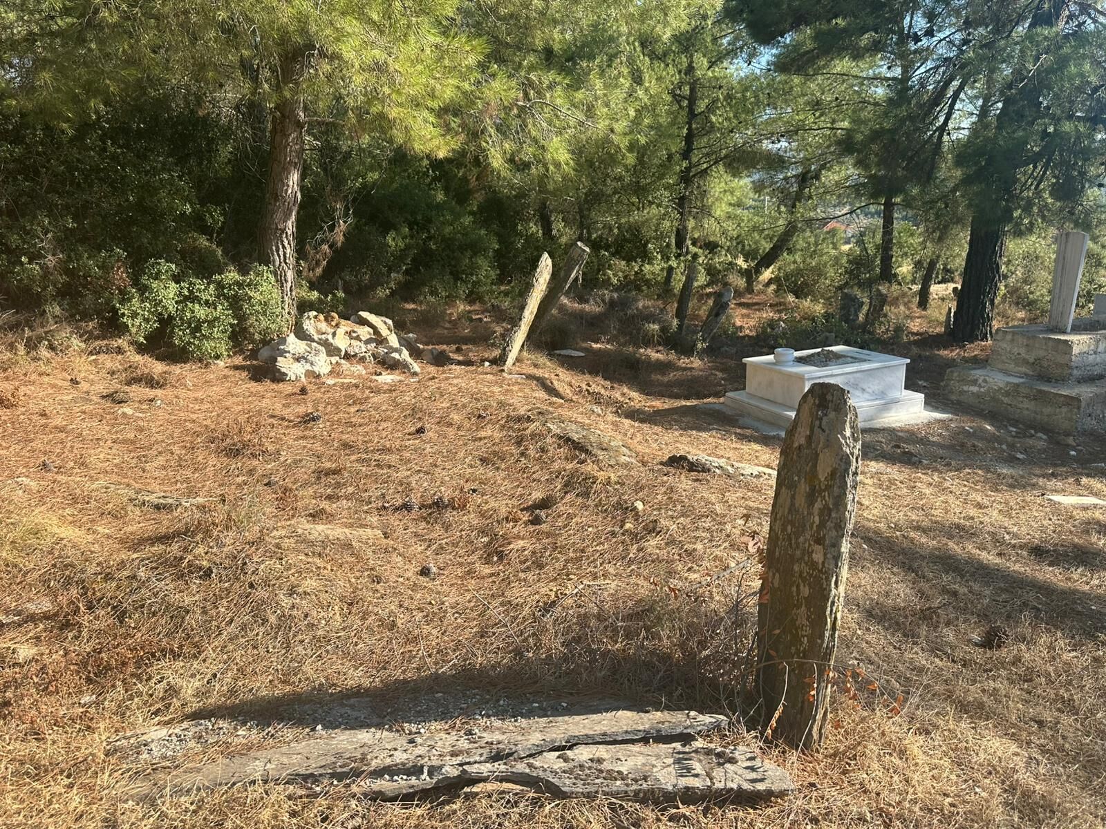 Aydın’ın sahipsiz köyü