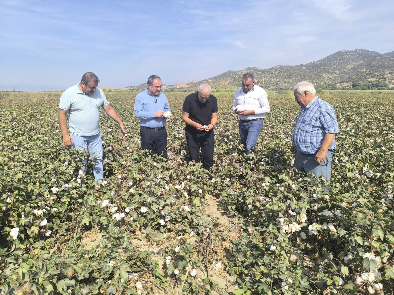 Chpli Evrim Karakozdan Iktidara Cagri Pamuk Fiyati 50 Lira Olmali Destekler Artmali 602554 D33D877De9Bcc2080Ba51D7596B582Fe