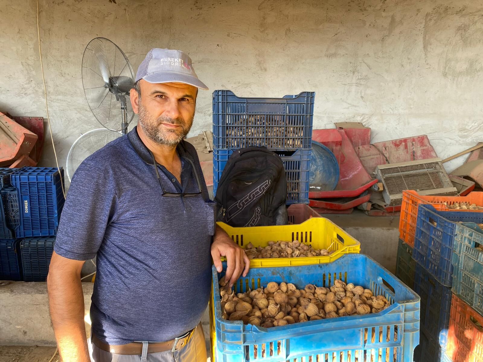 Aydın’da incir üreticisi can çekişiyor