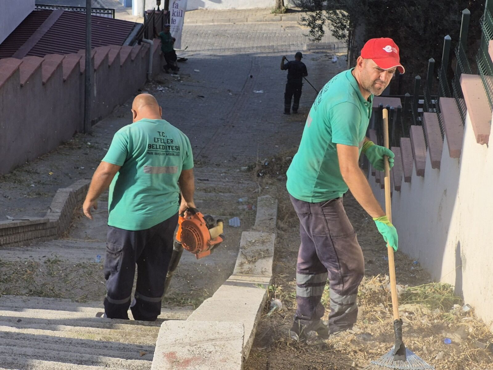 Efelerin Ekiplerinden Zafer Mahallesinde Kapsamli Calisma 597018 7915E3A91D9D79A8B153Bd72E1D44089