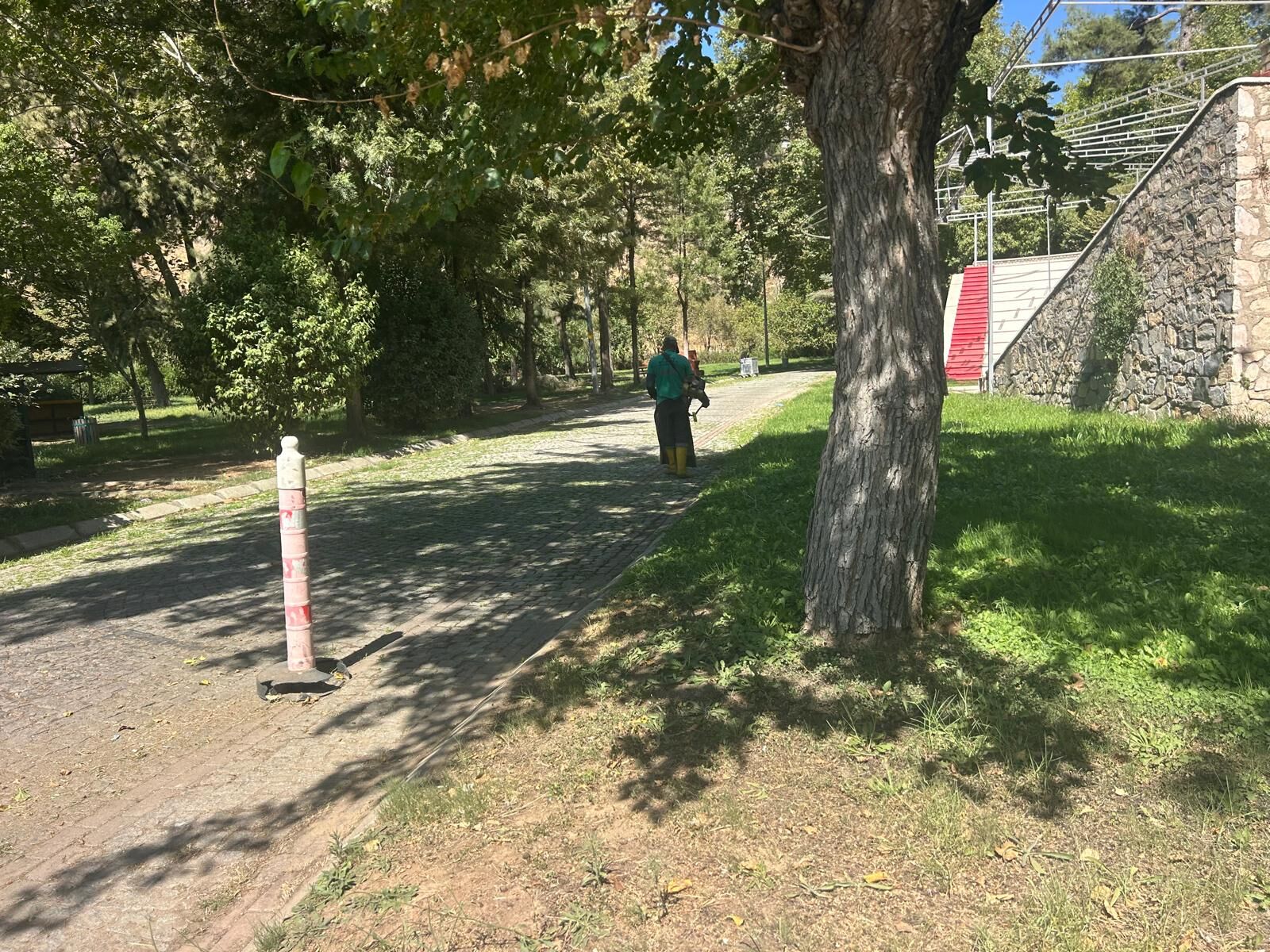 Efelerin Yesil Ekiplerinden Pinarbasinda Kapsamli Calisma 600444 6Aacb3711F221Aa80Bfb2E8C76Cba9B6