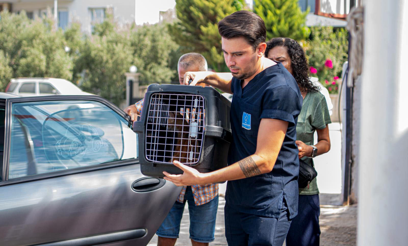 Kusadasi Belediyesinden Partili Dostlarin Sagligi Icin Onemli Bir Adim Daha Davutlar Mahallesine Kedi Kisirlastirma Merkezi Acildi 599501 D02F5F4922Ebed743C778471862Ab7Cd